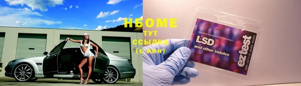 дживик Балахна