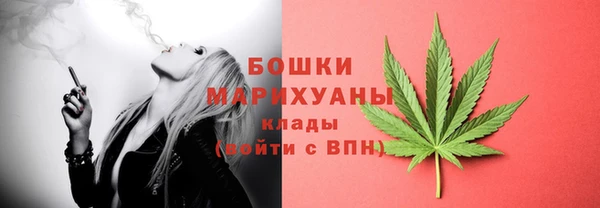 ГАЛЛЮЦИНОГЕННЫЕ ГРИБЫ Баксан