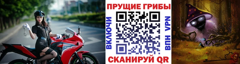 Купить закладки  Тулун  Галлюциногенные грибы мицелий 