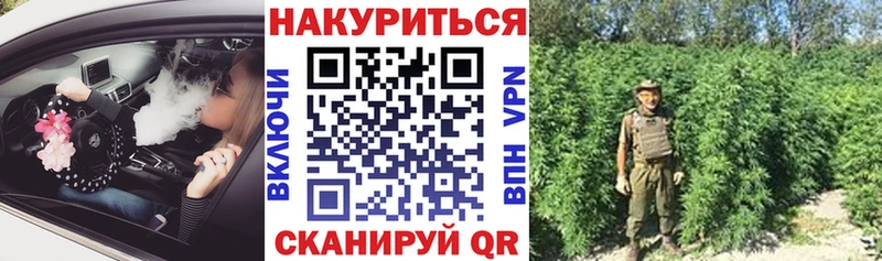Шишки марихуана гибрид  Купить закладки  Тулун 